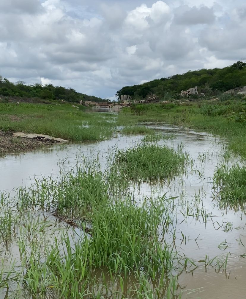 Barragem da Boa Vista, em Itapetim, está com 5% da capacidade, diz Apac